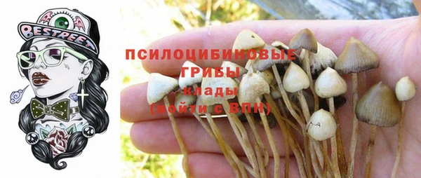 гашик Баксан