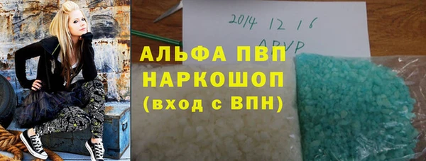 ПСИЛОЦИБИНОВЫЕ ГРИБЫ Дмитров