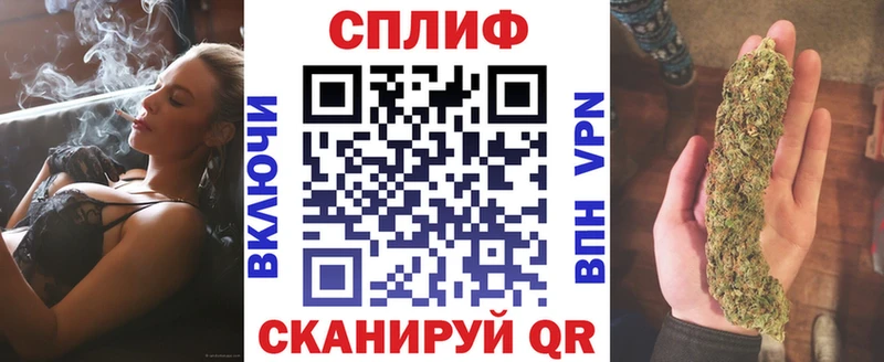 гидра Богучар Бошки Шишки семена